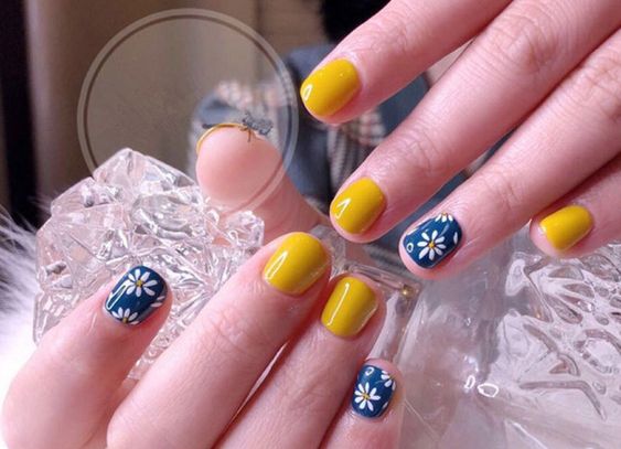  Blue and Yellow